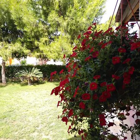 Kwatera prywatna In A Traditional House Near The Sea Limassol